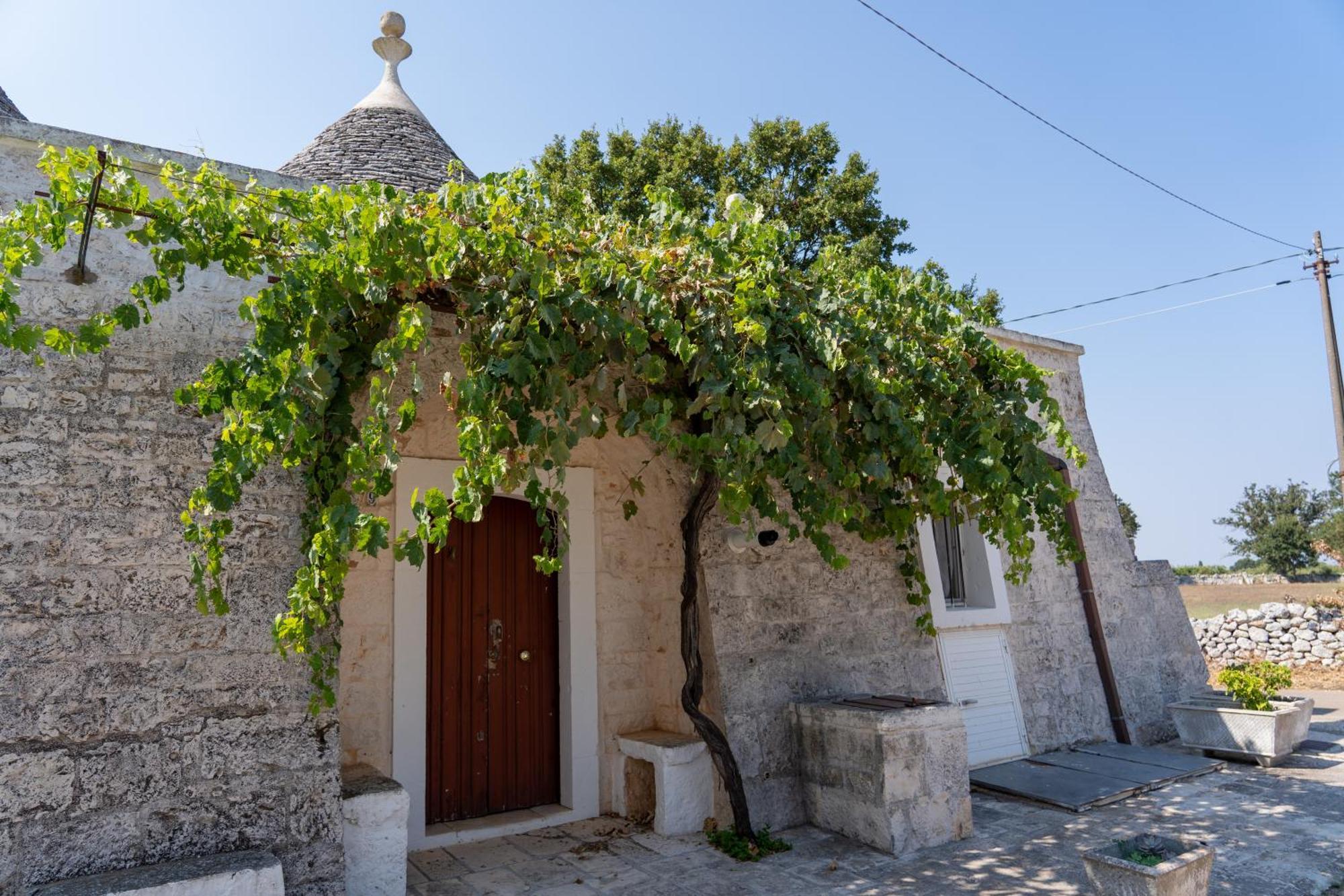 Trullo Vacanze Di Cumma Rosa Альберобелло Экстерьер фото